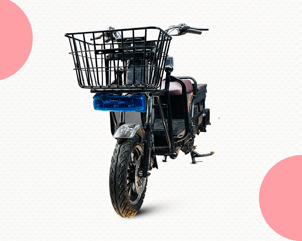 Electric Bike